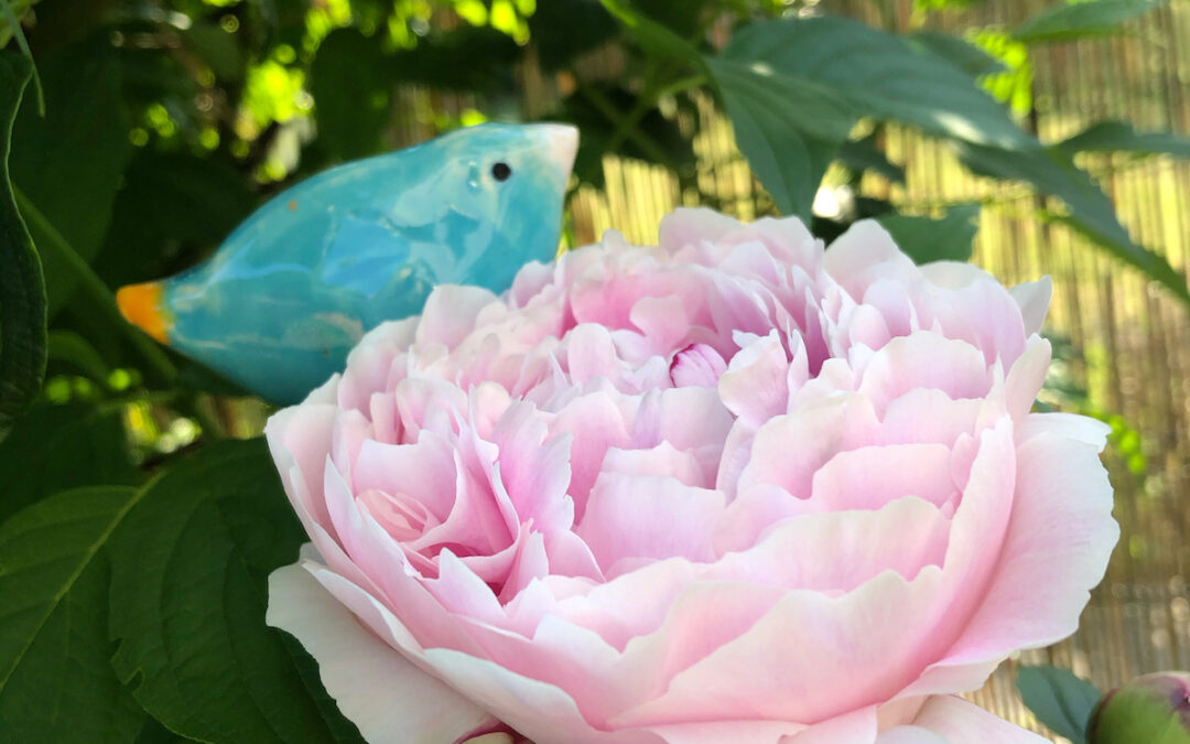 La pivoine et l’oiseau