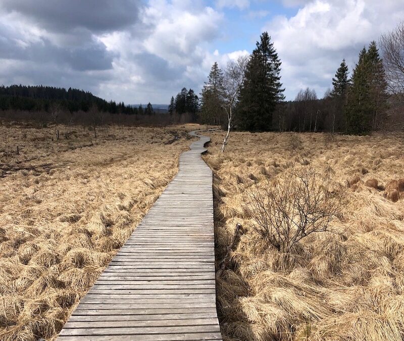 Balade dans le parc naturel des Hautes Fagnes – Eifel